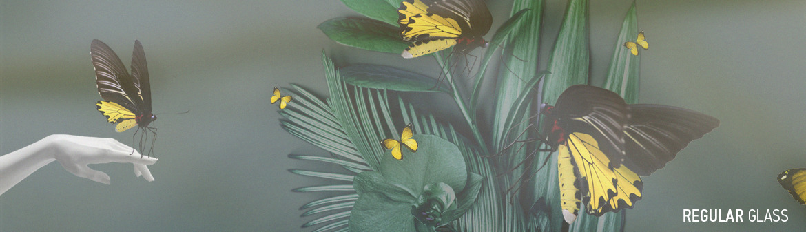 AG_AR_C_impact_banner_RG_1170x337px